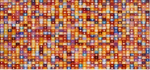 Screen Shot 2014-04-07 at 11.29.57 AM