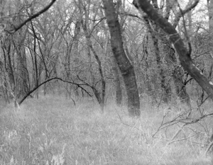 Screen Shot 2014-05-21 at 7.01.37 PM