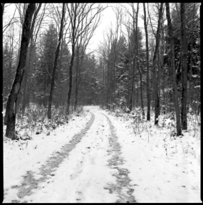 Screen shot 2014-09-25 at 12.45.30 PM