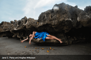 © Jana C. Perez and Angilee Wilkerson 2014