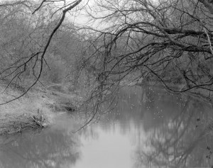 © Allison Jarek 2014