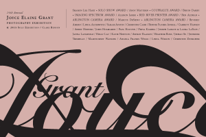 10887612_856944940995698_7836993588268756289_o