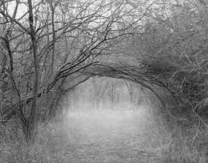 © Allison Jarek 2014