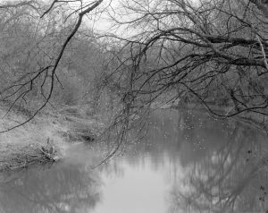 © Allison Jarek 2014