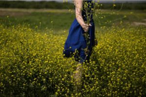 Screen Shot 2015-06-11 at 1.24.48 PM