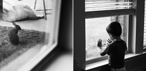 Screen Shot 2015-06-22 at 3.56.24 PM