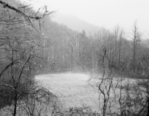 Screen Shot 2015-09-01 at 3.08.56 PM