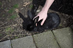 Screen Shot 2015-09-11 at 11.53.07 AM