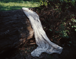 Screen Shot 2015-10-05 at 7.46.16 PM