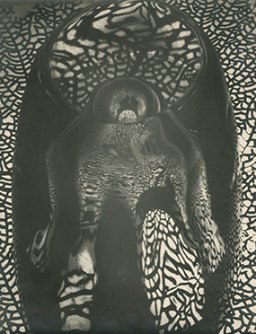 Screen Shot 2016-02-05 at 10.34.32 AM.png