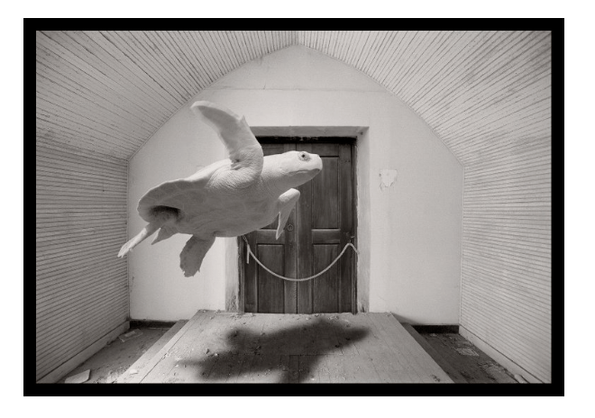 Screen Shot 2016-10-25 at 10.09.44 PM.png