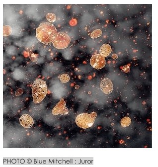 Screen Shot 2017-04-20 at 7.13.39 PM